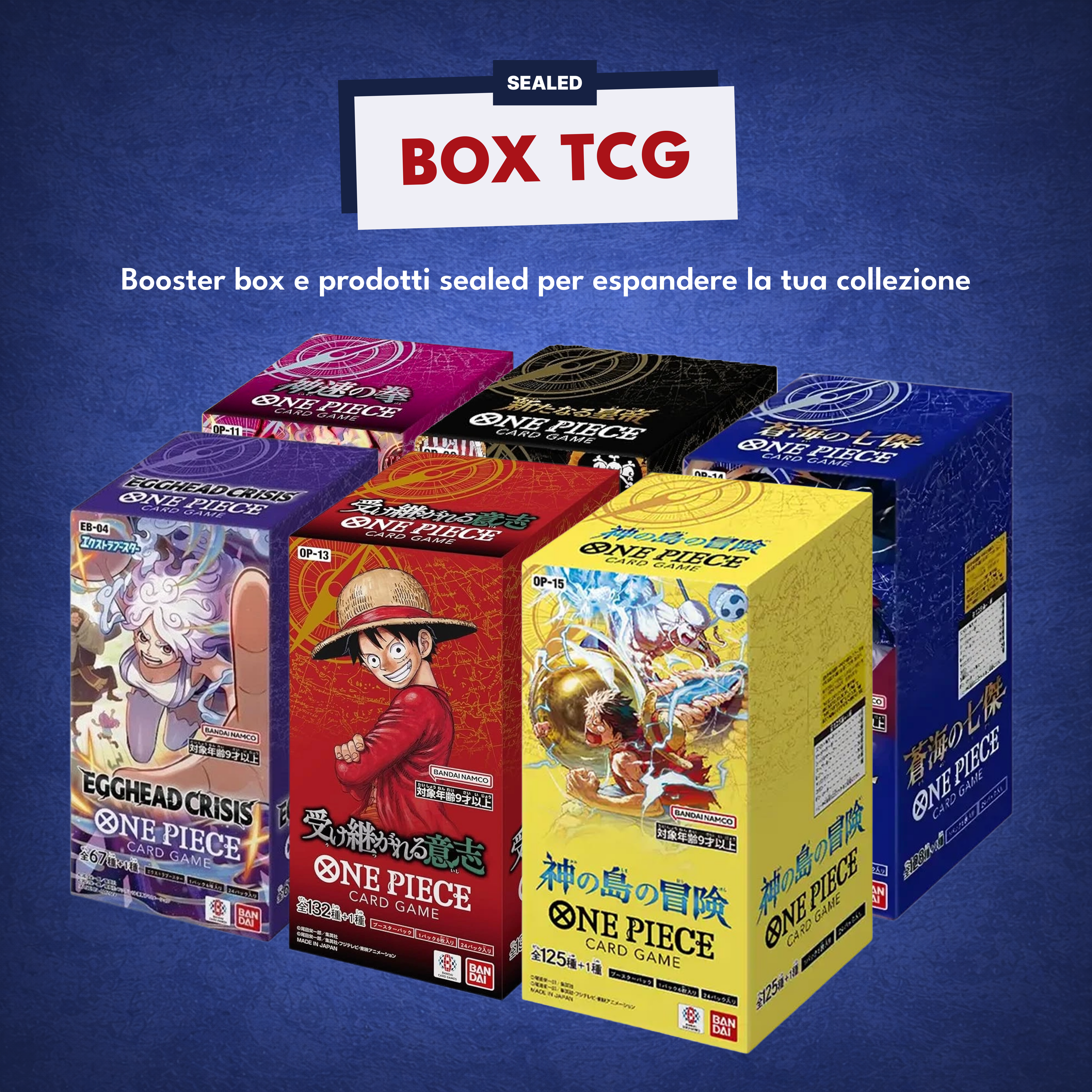 Box TCG One Piece